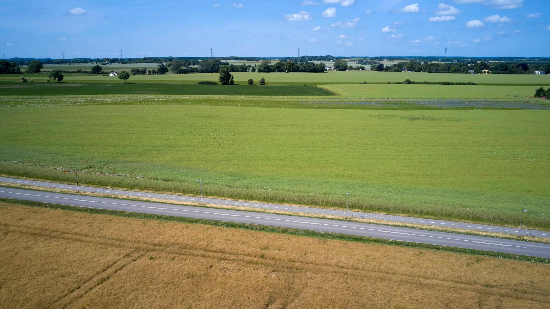 Landbrugsarealerne skal reduceres, mener Klimarådet. | Foto: Jens Dresling