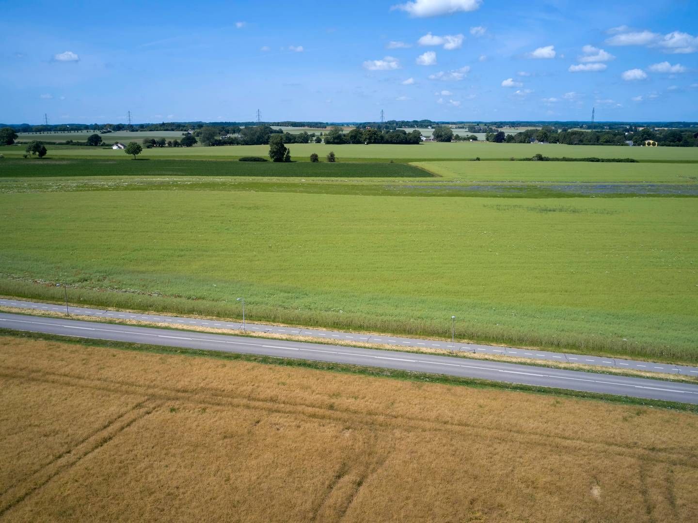 Landbrugsarealerne skal reduceres, mener Klimarådet. | Foto: Jens Dresling