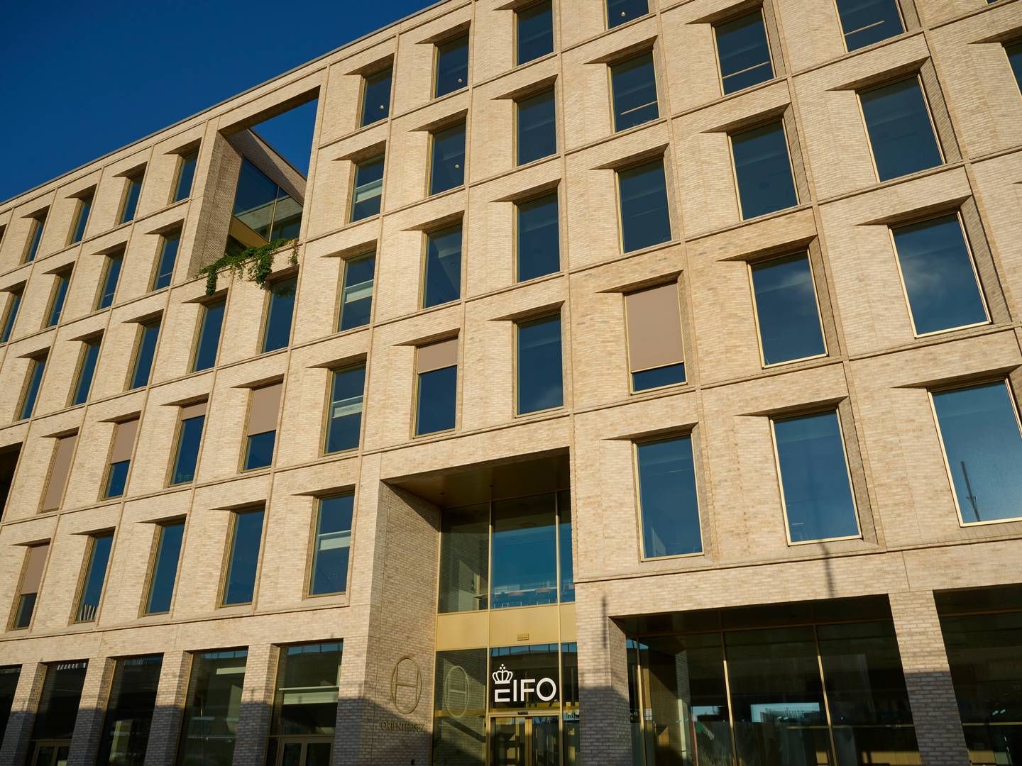 Eifo blev dannet i 2023, da man lagde Vækstfonden, Danmarks Grønne Investeringsfond og EKF Danmarks Eksportkredit sammen. | Foto: Eifo / PR