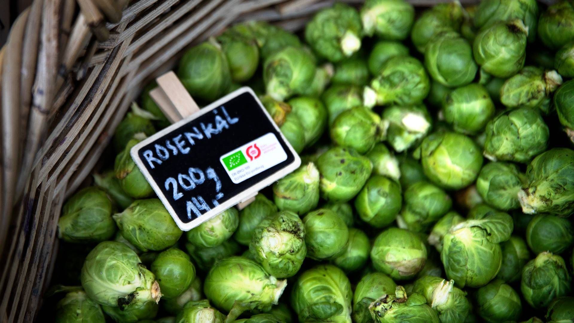Brancheforening Lokale Fødevarer i Danmark vil gøre op med ugennemskuelige regler på området. | Foto: Finn Frandsen