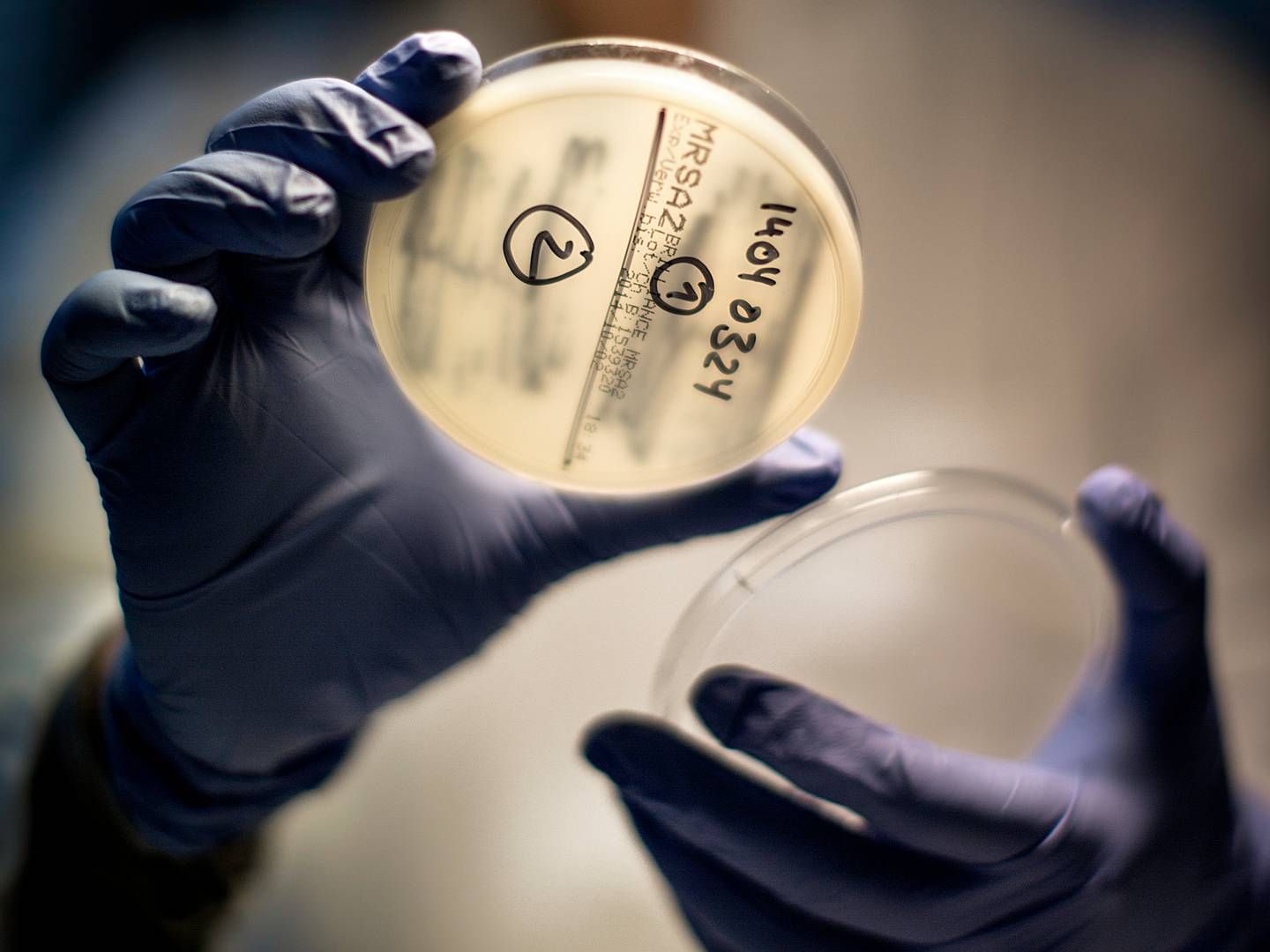 Multiresistente bakterier er på fremmarch, og mange aktører fremhæver derfor ofte behovet for ny antibiotika, som Utility Therapeutics netop har fået godkendt i USA. | Foto: Peter Klint