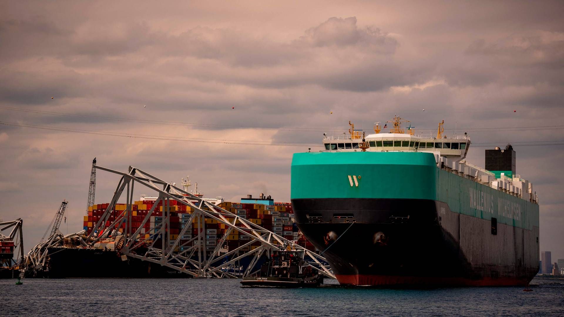 Wallenius Wilhelmsens bilskib var et af de første, der fik lov til at sejle forbi den kolliderede Francis Scott Key Bridge. | Foto: Andrew Harnik/AFP/Ritzau Scanpix