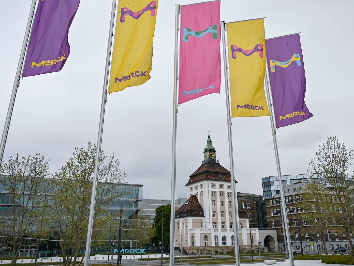 Flags with the brand logo of the chemical and pharmaceutical company Merck KGaA. | Foto: Arne Dedert/AP/Ritzau Scanpix