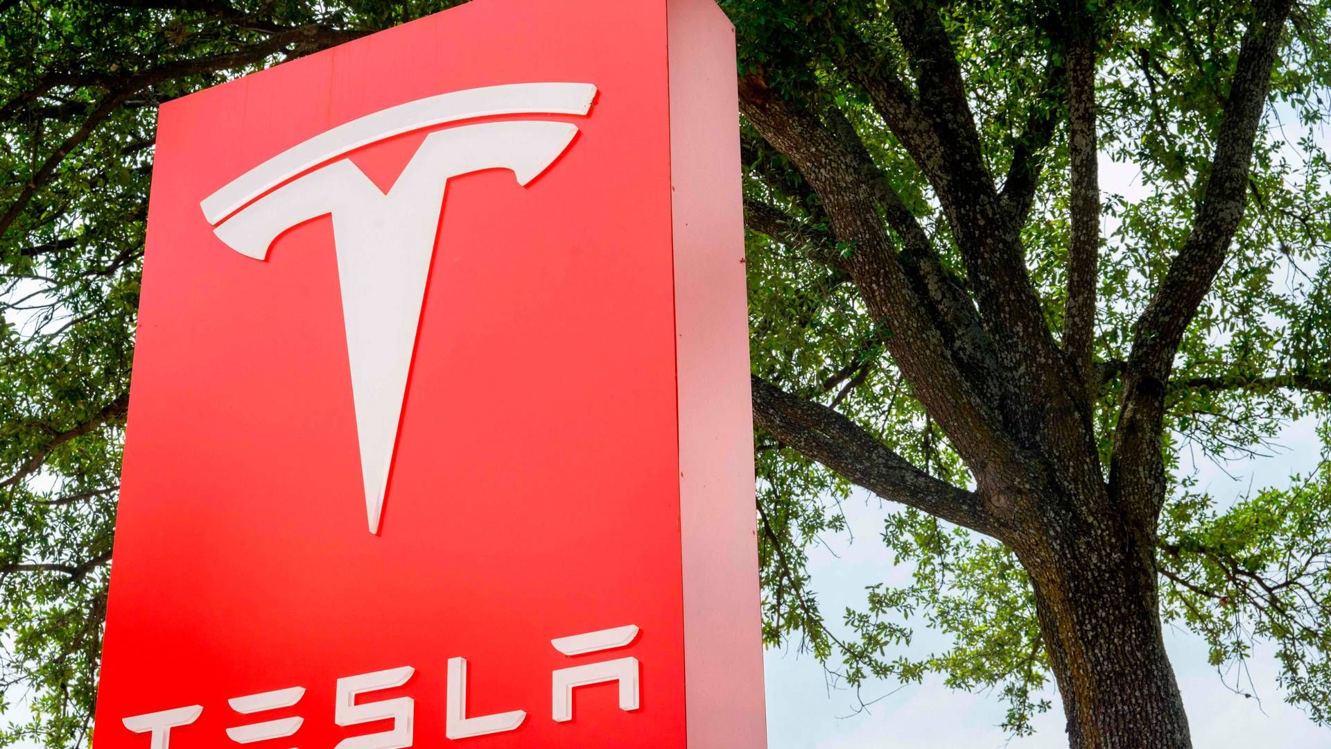 Teslas autopilot har været involveret i 467 sammenstød. Heraf var 13 dødsulykker hvor en eller flere personer mistede livet, skriver CNBC | Foto: Brandon Bell/AFP/Ritzau Scanpix