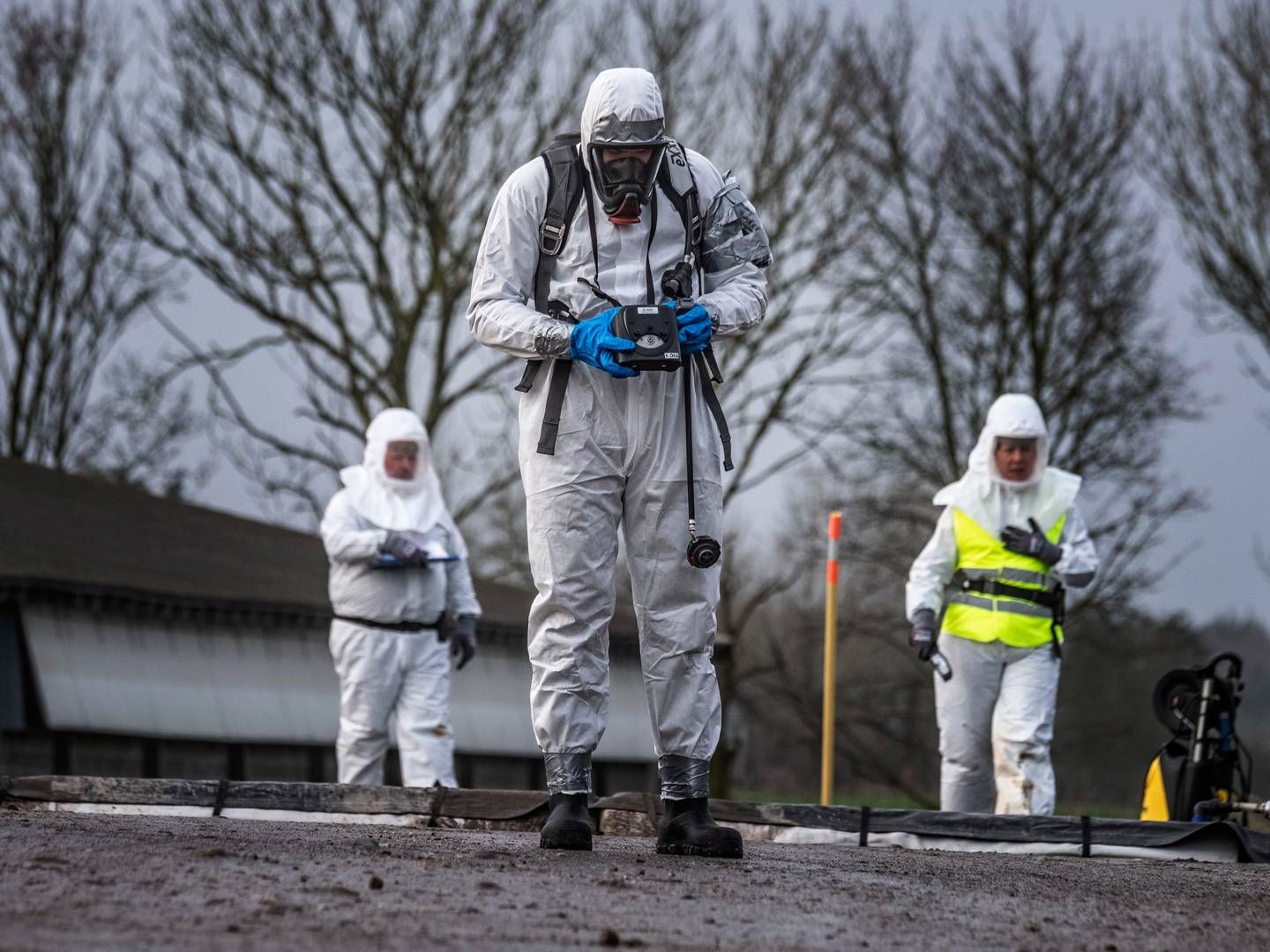 Fugleinfluenza vurderes på nuværende tidspunkt ikke til at være til stor fare for den generelle folkesundhed. | Foto: Per Rasmussen