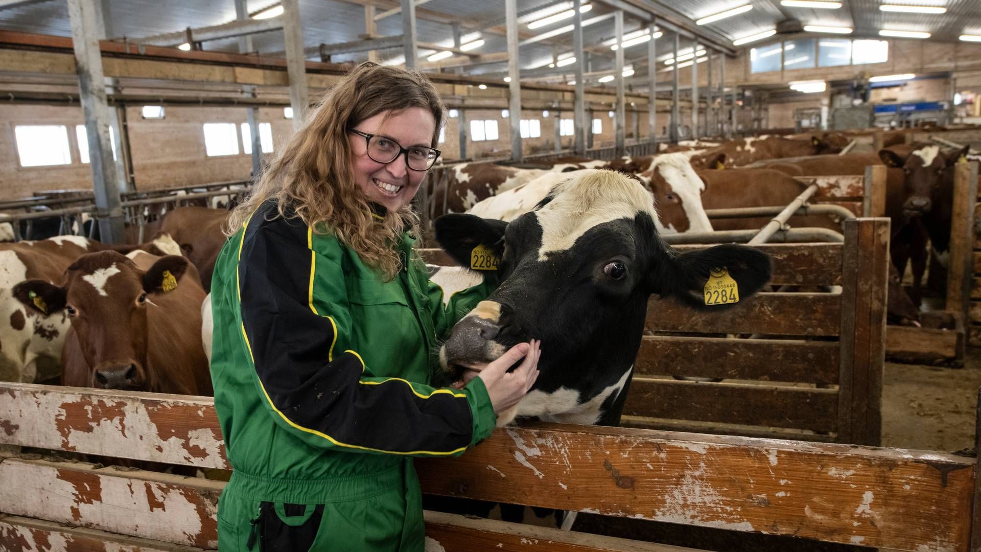 Ostebonde Kristin Waagen i Tingvollost vil ikke kjøpe inn melk, men kun yste av melk fra egen gård. - Vi har bygget merkevare på at vi skal være eksklusive, og da er det ikke volumproduksjon som er målet. | Foto: Håvard Simonsen