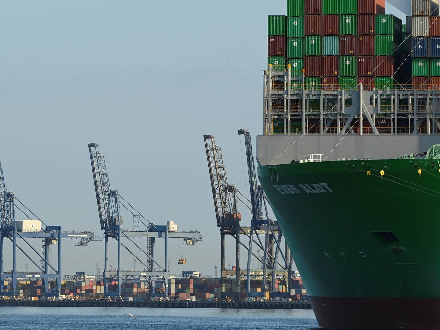 Felixstowe is the UK's top container port. | Foto: Toby Melville/Reuters/Ritzau Scanpix