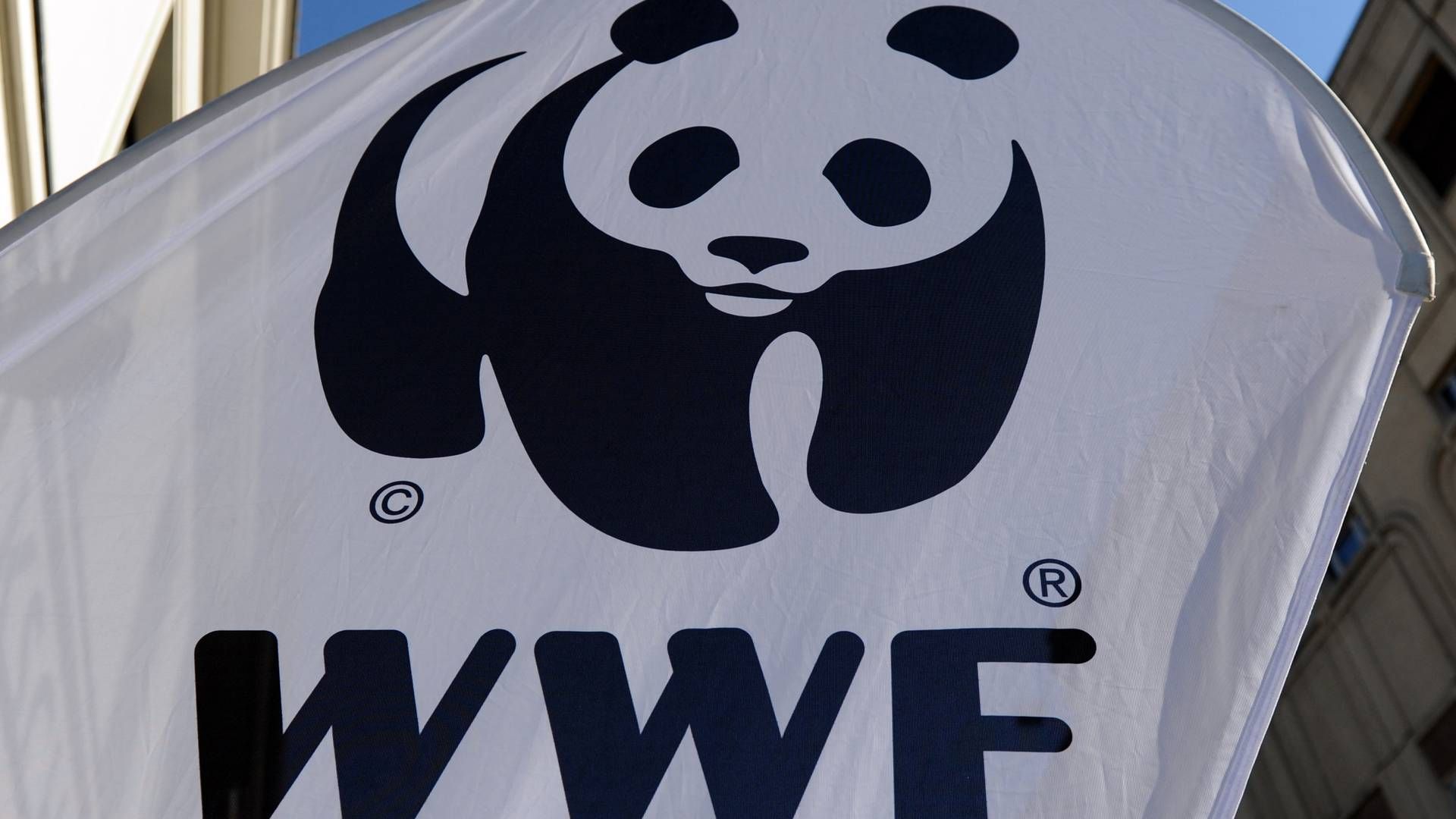 Vita Clausen skal fremover arbejde hos WWF. | Foto: Jens Kalaene/AP/Ritzau Scanpix