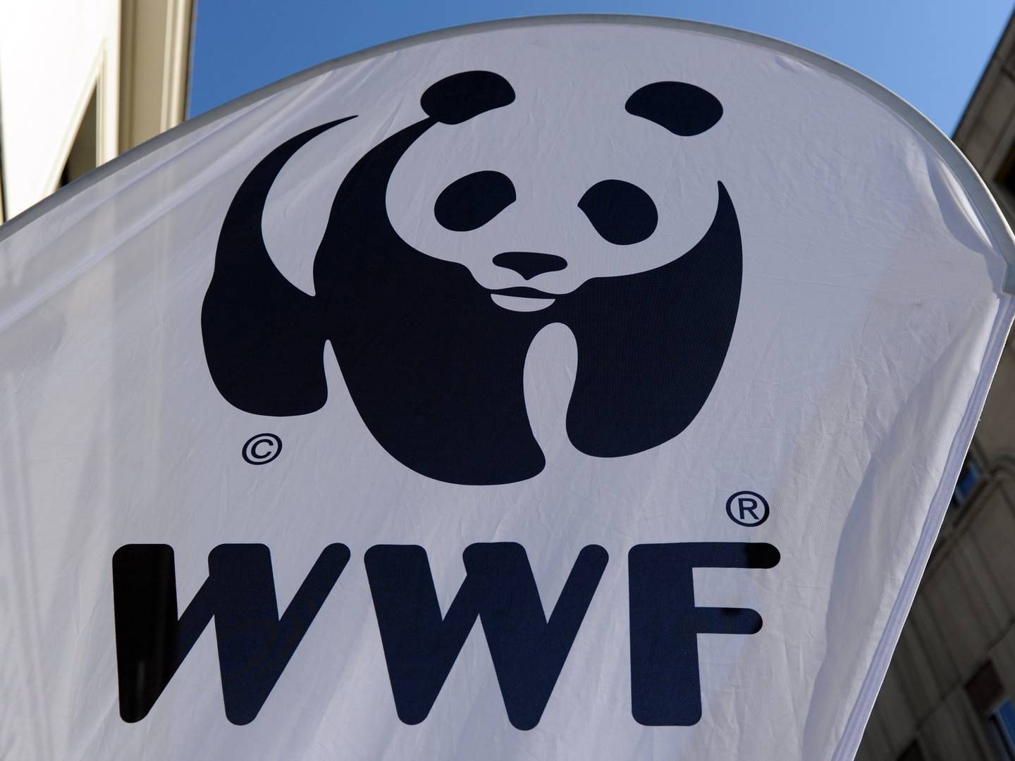 Vita Clausen skal fremover arbejde hos WWF. | Foto: Jens Kalaene/AP/Ritzau Scanpix