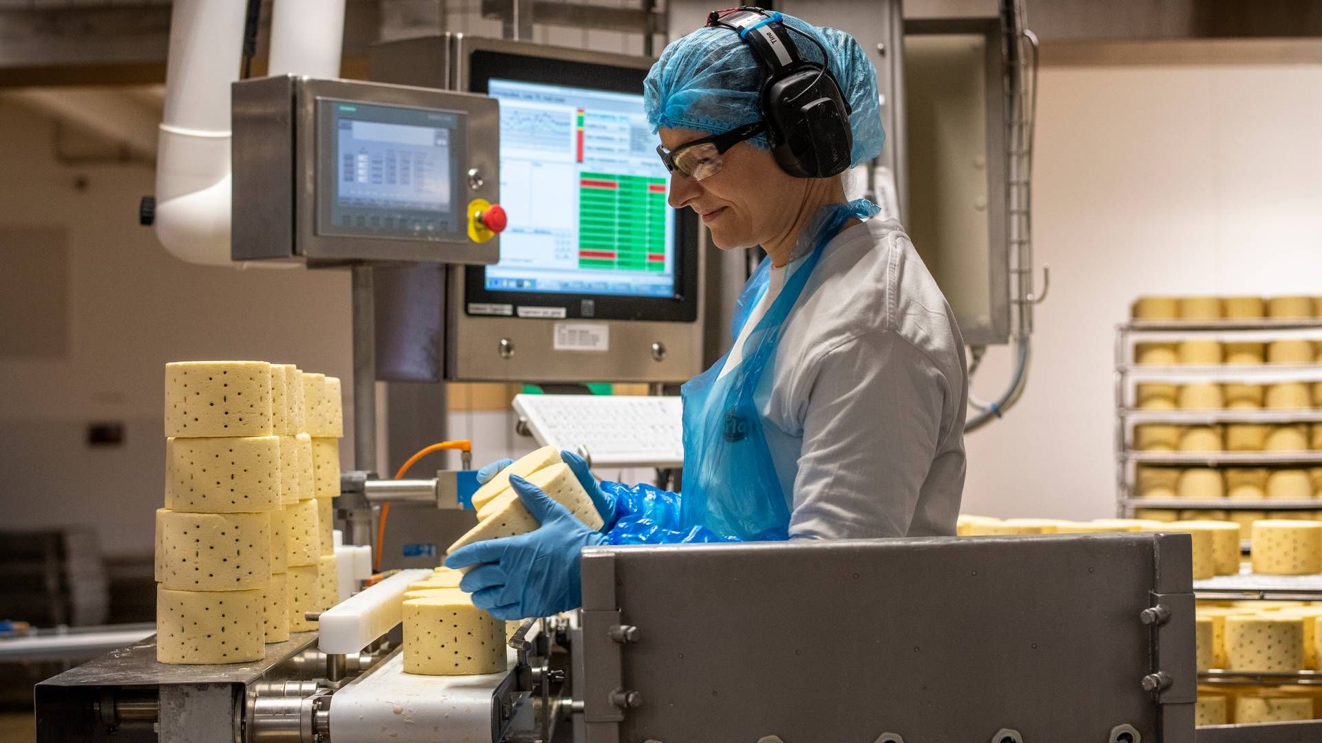 Solid efterspørgsel på oste, fløde og smør holder hånden under mælkepriserne. | Foto: Joachim Ladefoged