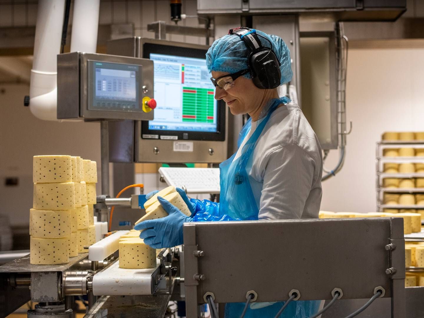 Solid efterspørgsel på oste, fløde og smør holder hånden under mælkepriserne. | Foto: Joachim Ladefoged