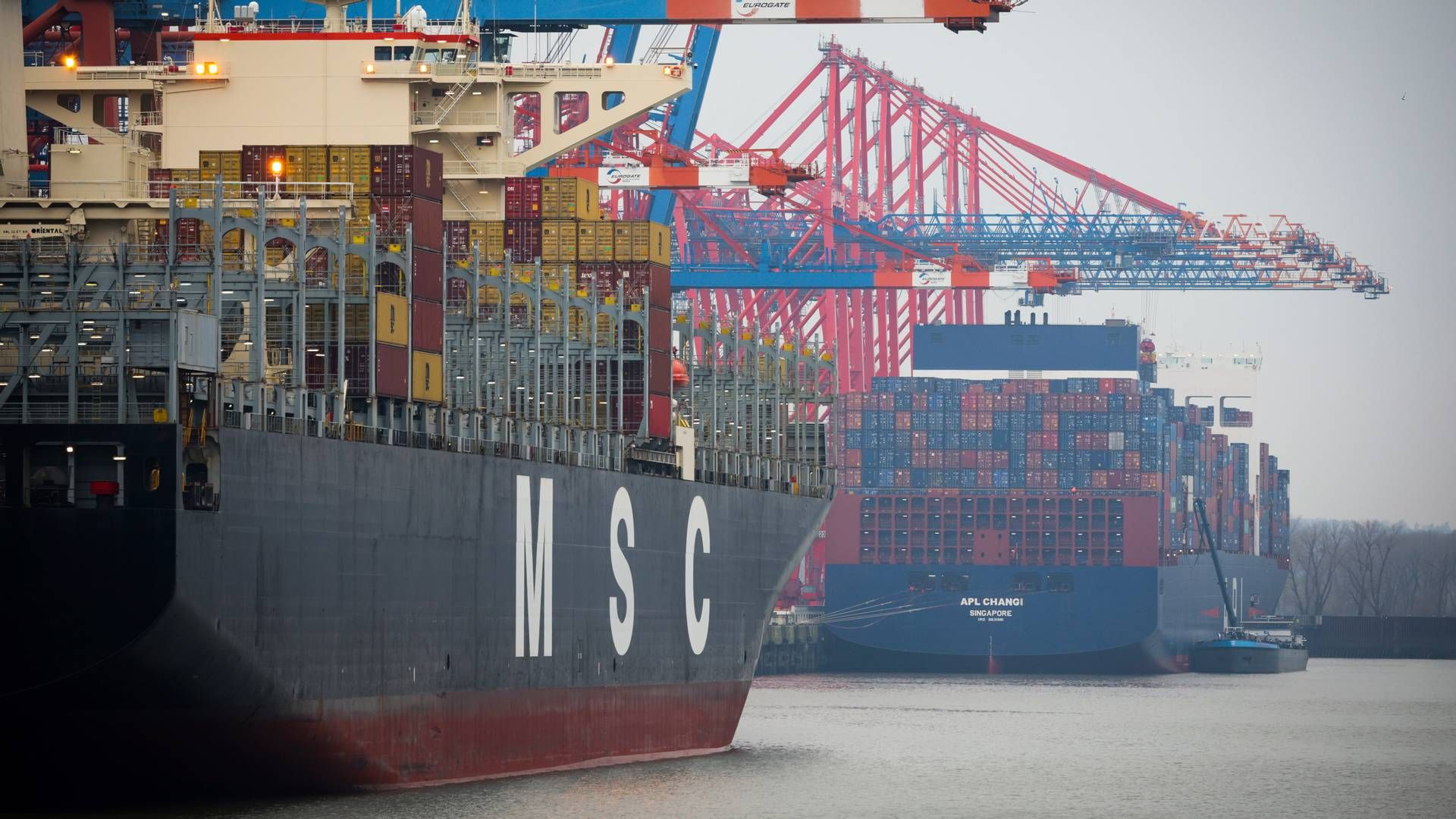 Singapore port company PSA denies that it has raised objections to container carrier MSC's co-ownership of Hamburg's largest terminal operator, HHLA. | Photo: Christian Charisius/AP/Ritzau Scanpix