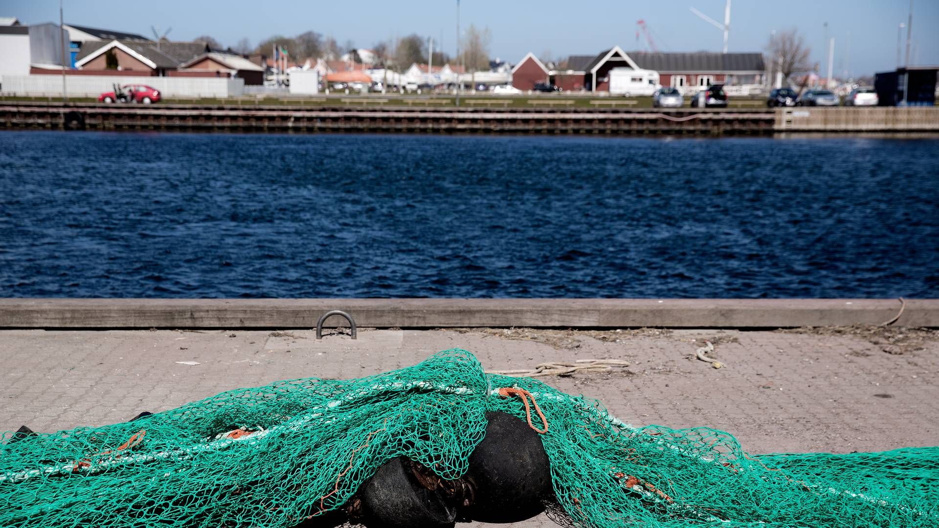 Kerteminde Kommune på Østfyn får ny chefjurist. | Foto: Peter Hove Olesen