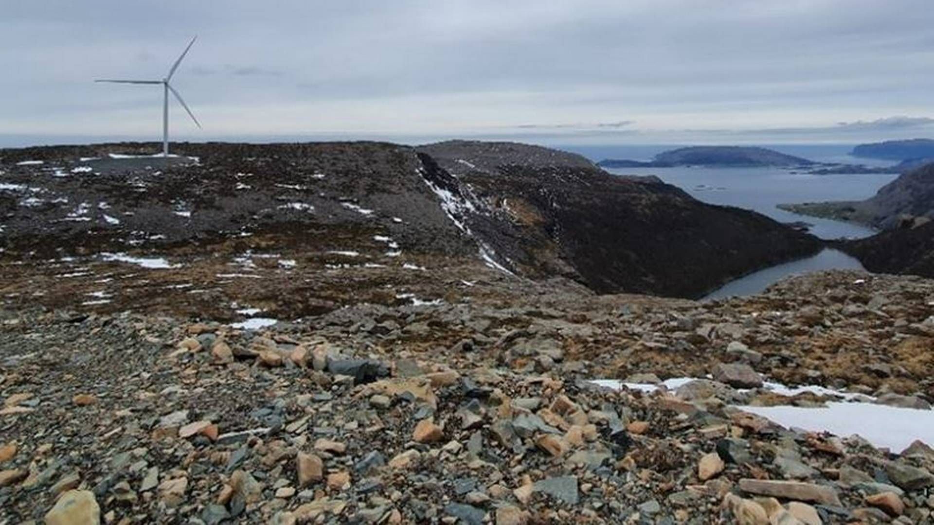 Videreføringen av undersøkelsene på Guleslettene kan gi relevant kunnskap om virkningen av vindkraftverk på fugl, skriver NVE. | Foto: NVE