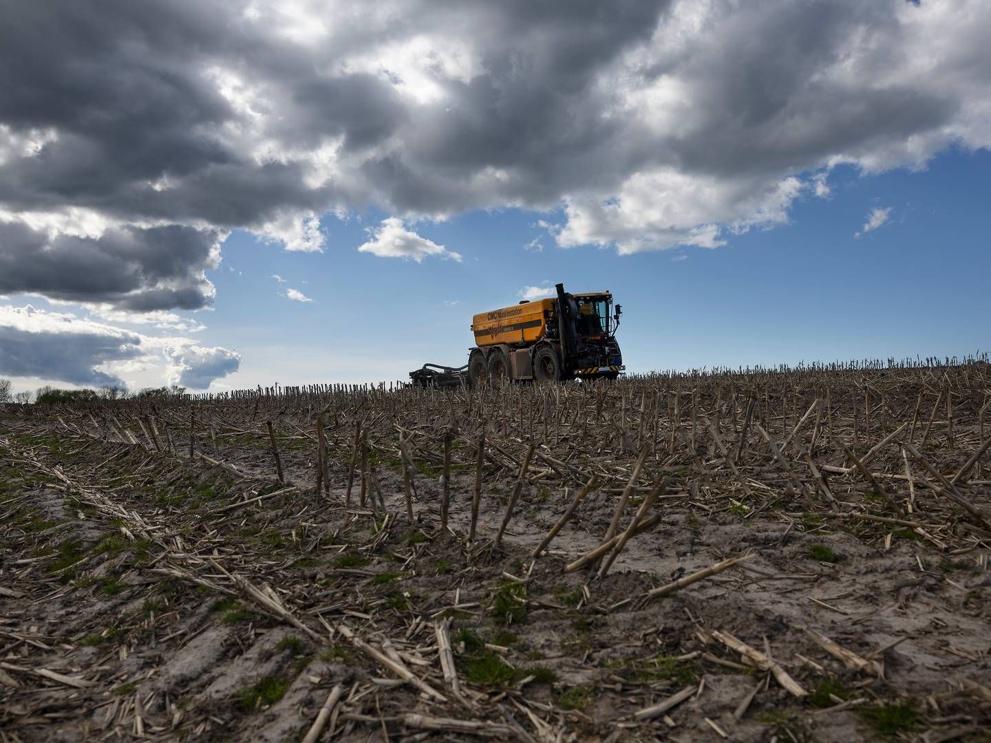 En CO2-afgift på landbruget giver alvorlige bekymringer i branchen. | Foto: Thomas Borberg/Ritzau Scanpix