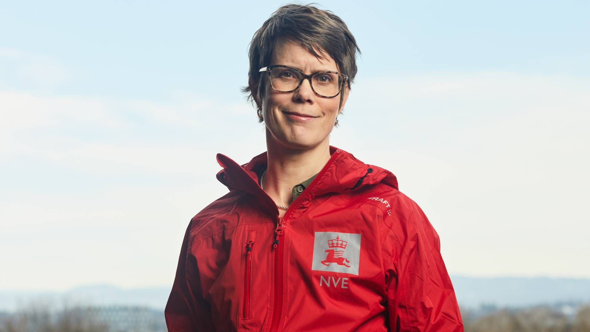 Anne Johanne Kråkenes er seksjonssjef i NVE, hvor hun har jobbet siden mai 2010. | Foto: NVE