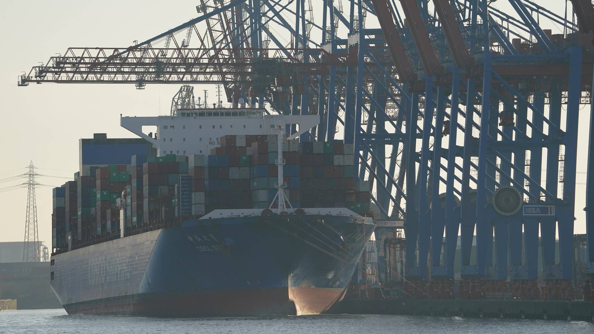 Ammoniak er flere gange blevet kaldt den grønne omstillings mirakelkur af skibsfarten - og den tro holder rederierne fast i. De er allerede i gang med forberedelserne til at hælde brændstoffet på skibenes tanke. | Foto: Marcus Brandt/AP/Ritzau Scanpix