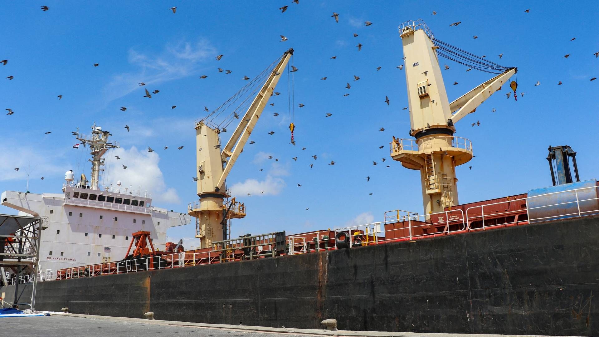 The ship Sea Champio arrives in Aden after being attacked in the Red Sea off Yemen. | Photo: Fawaz Salman/Reuters/Ritzau Scanpix