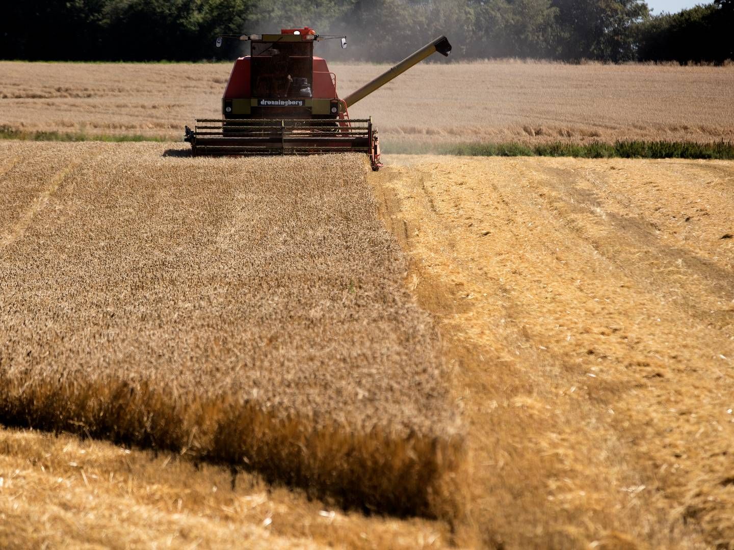 Maskinhandler har været ramt af lang leveringstid. | Foto: Peter Hove Olesen/Politiken/Ritzau Scanpix