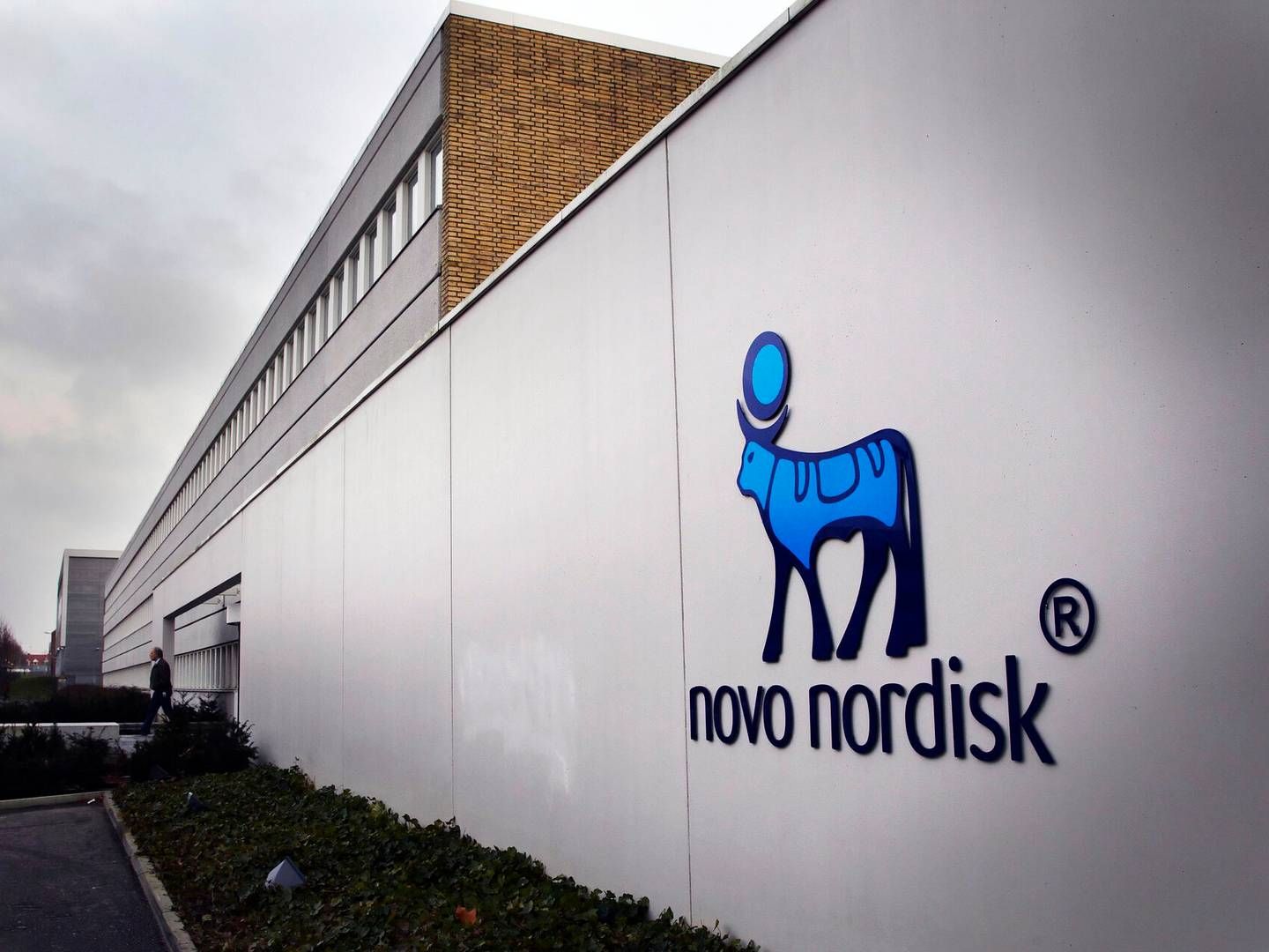 Der er politisk opbakning til en ny fabrik i Odense fra Novo Nordisk. | Foto: Jens Dige/Ritzau Scanpix