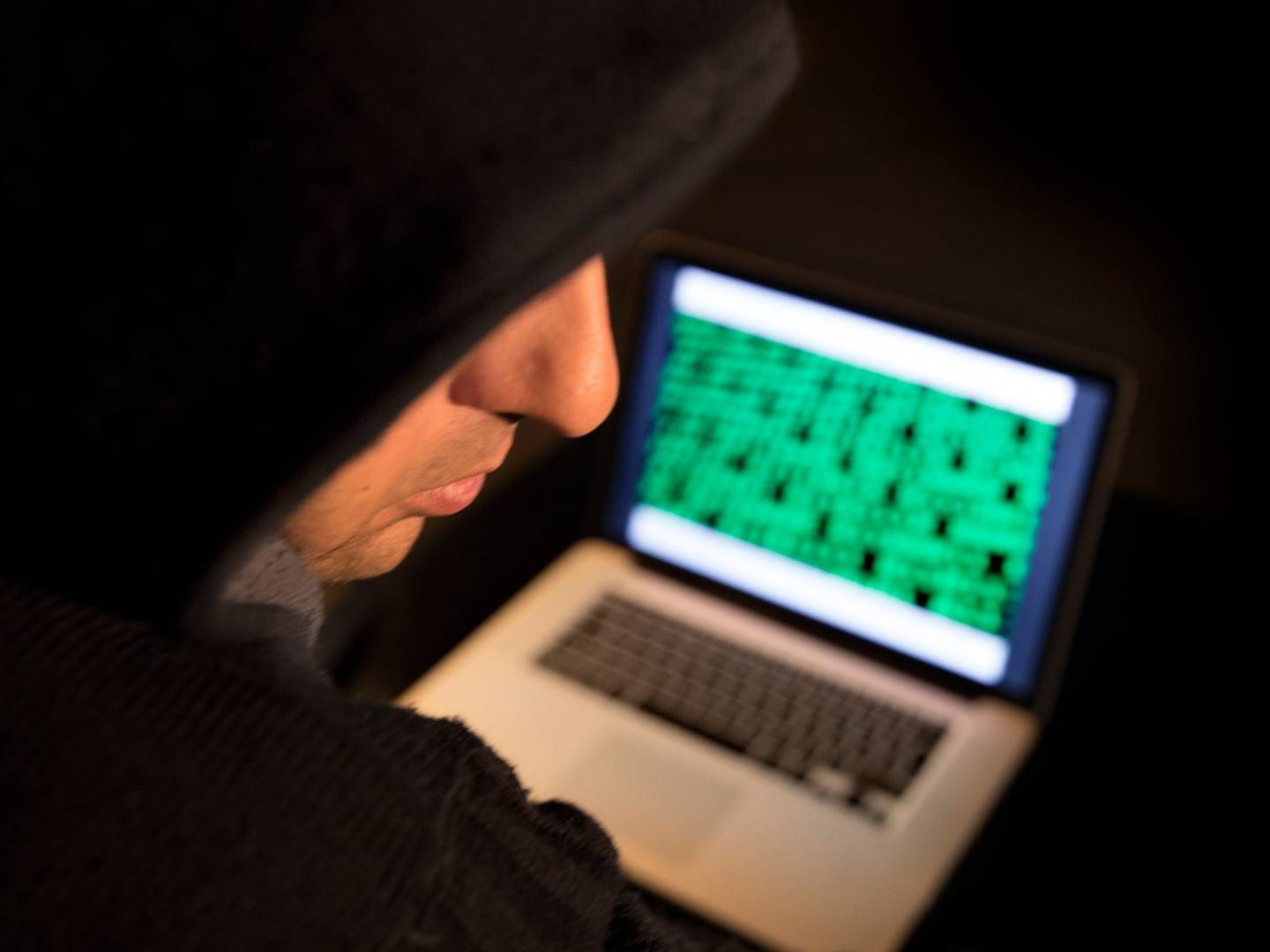 Næsten halvdelen af alle de cyberangreb, TDC Erhverv konstaterede i første halvår af 2024, består af malware, viser ny opgørelse. | Foto: Finn Frandsen/Politiken/Ritzau Scanpix