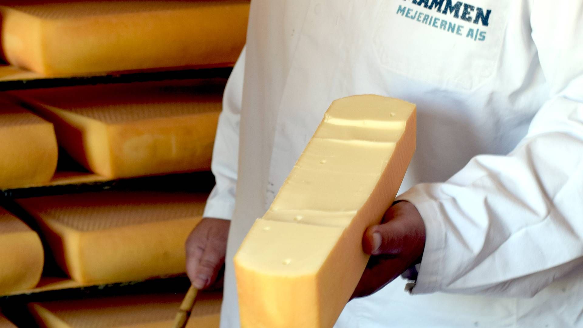 Mammen Mejerierne udvider forretningen med osteproducent. | Foto: Mammen Mejerier