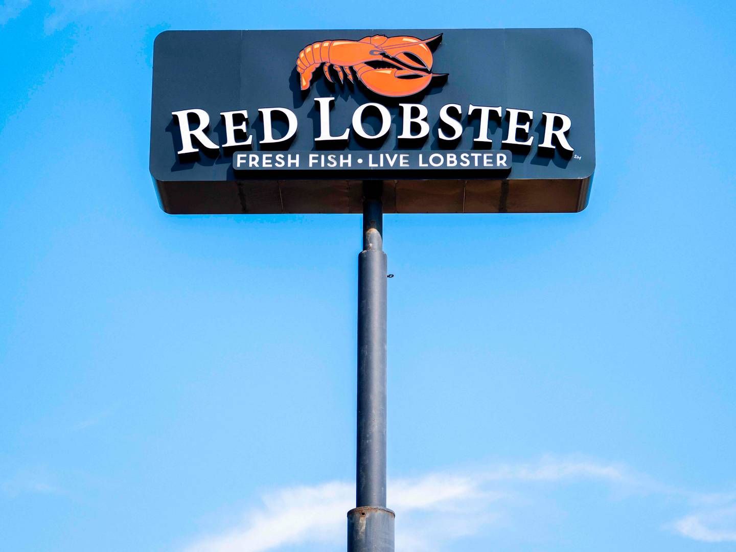Red Lobster efterlader en gæld på over 1 mia. dollar. | Foto: Brandon Bell/Ritzau Scanpix.
