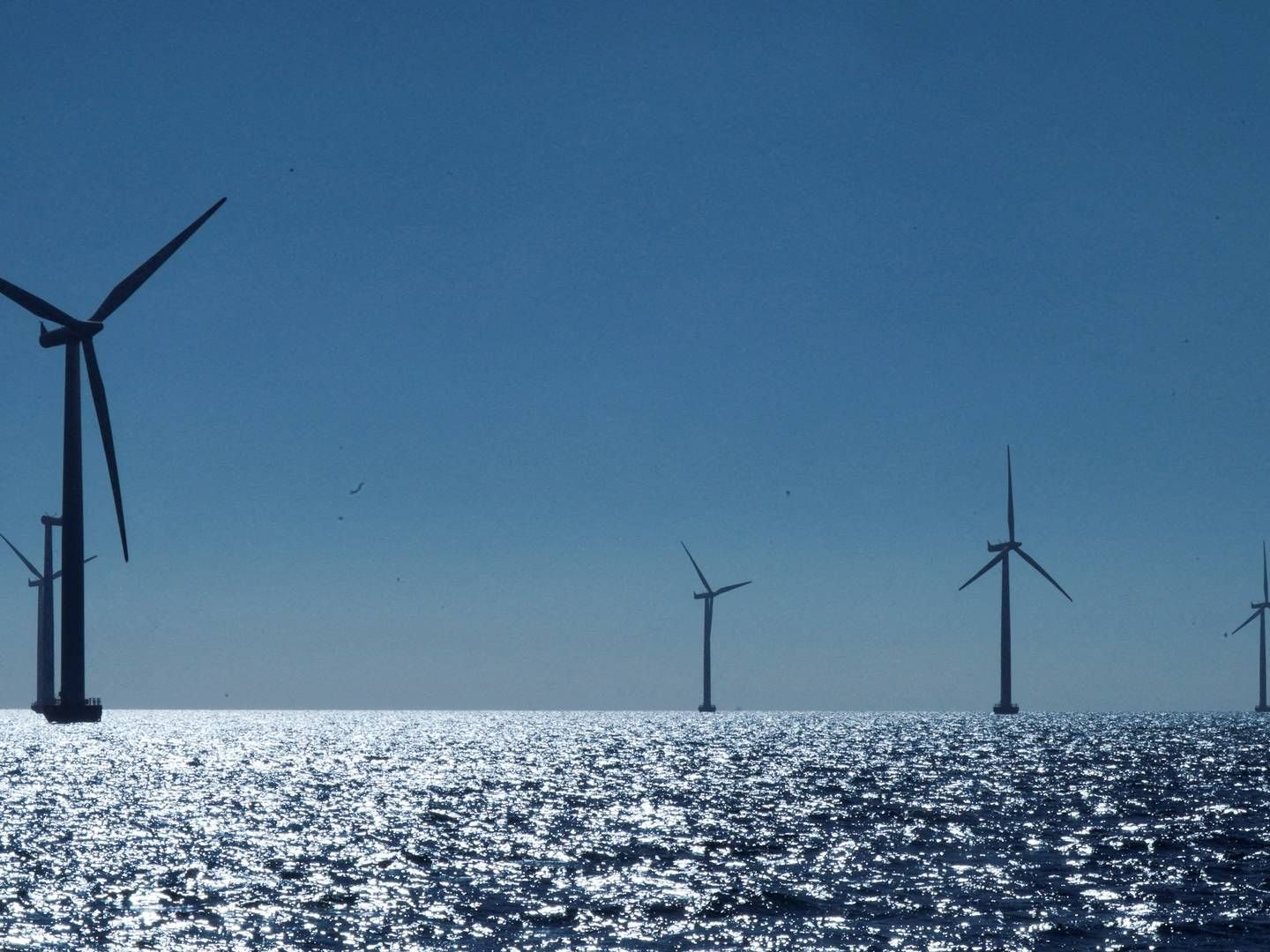 These specific wind turbines are part of Ørsted's wind farm in Denmark. | Foto: Tom Little/Reuters/Ritzau Scanpix