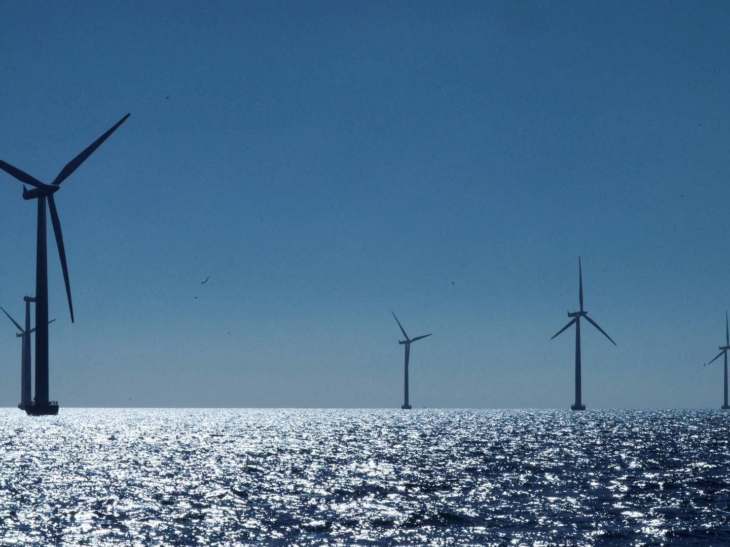 These specific wind turbines are part of Ørsted's wind farm in Denmark. | Photo: Tom Little/Reuters/Ritzau Scanpix