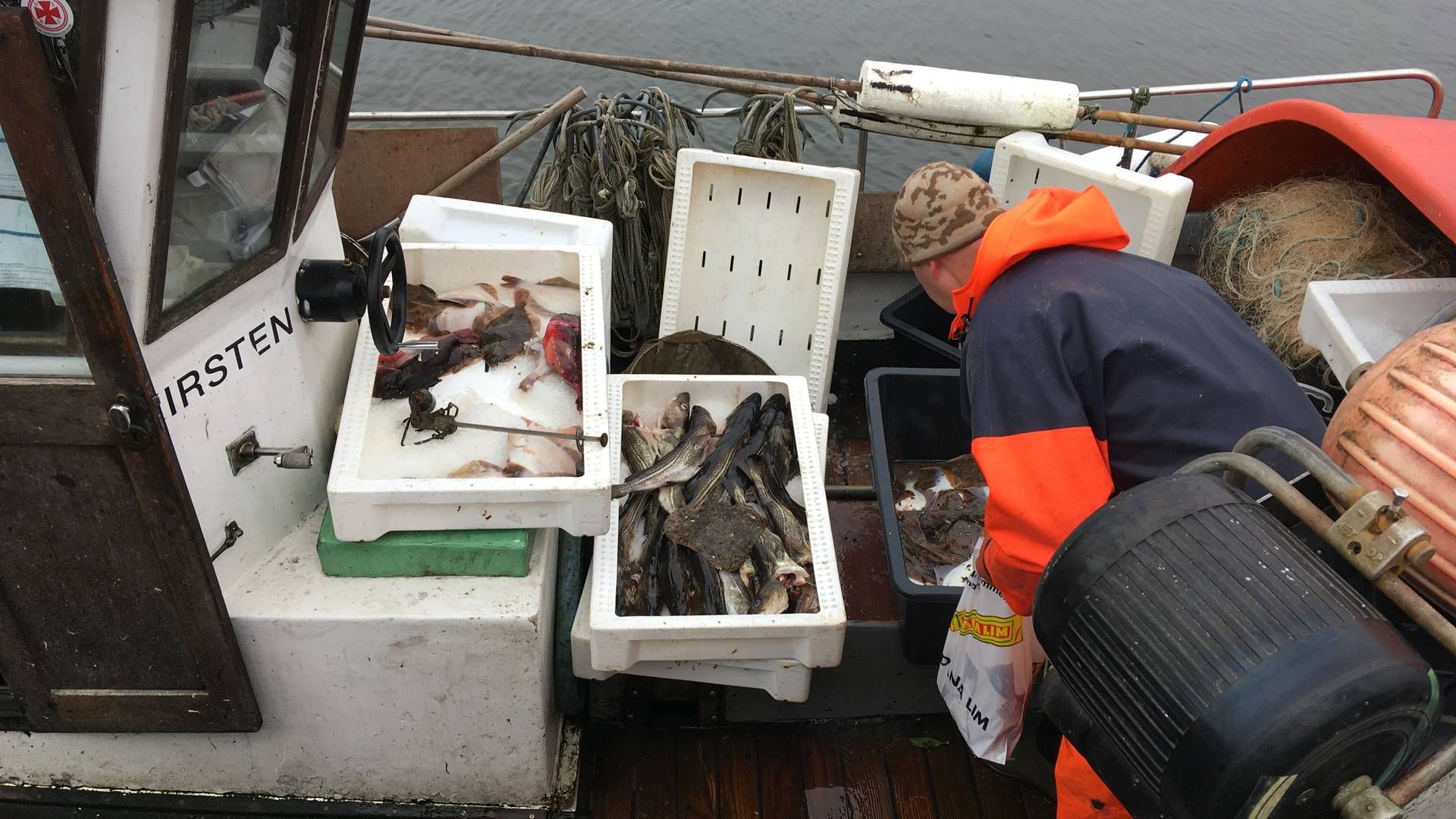 I december tog Blue Lobsters sidste fuldtidsfisker i Øresund et job på land, fordi der ikke længere var nok fisk i havet, skriver selskabet. | Foto: PR/Blue Lobster