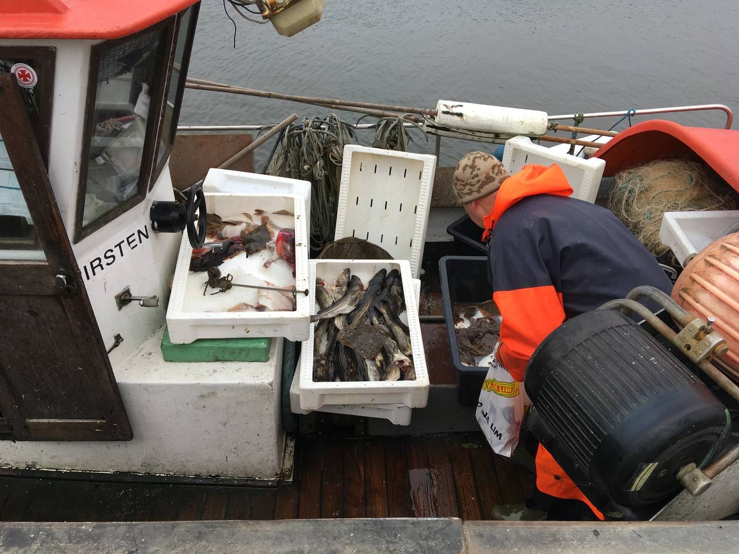 I december tog Blue Lobsters sidste fuldtidsfisker i Øresund et job på land, fordi der ikke længere var nok fisk i havet, skriver selskabet. | Foto: PR/Blue Lobster