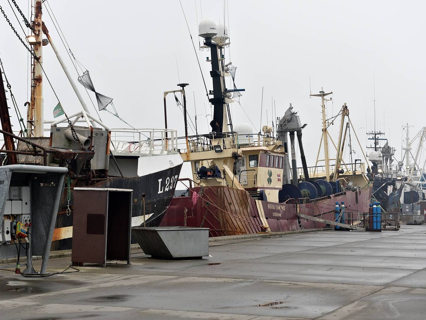 Bomtrawl skal forbydes i danske farvande - i første omgange for danske fiskefartøjer og på sigt også udenlandske, meddeler regeringen. | Foto: Ernst van Norde/Ritzau Scanpix.