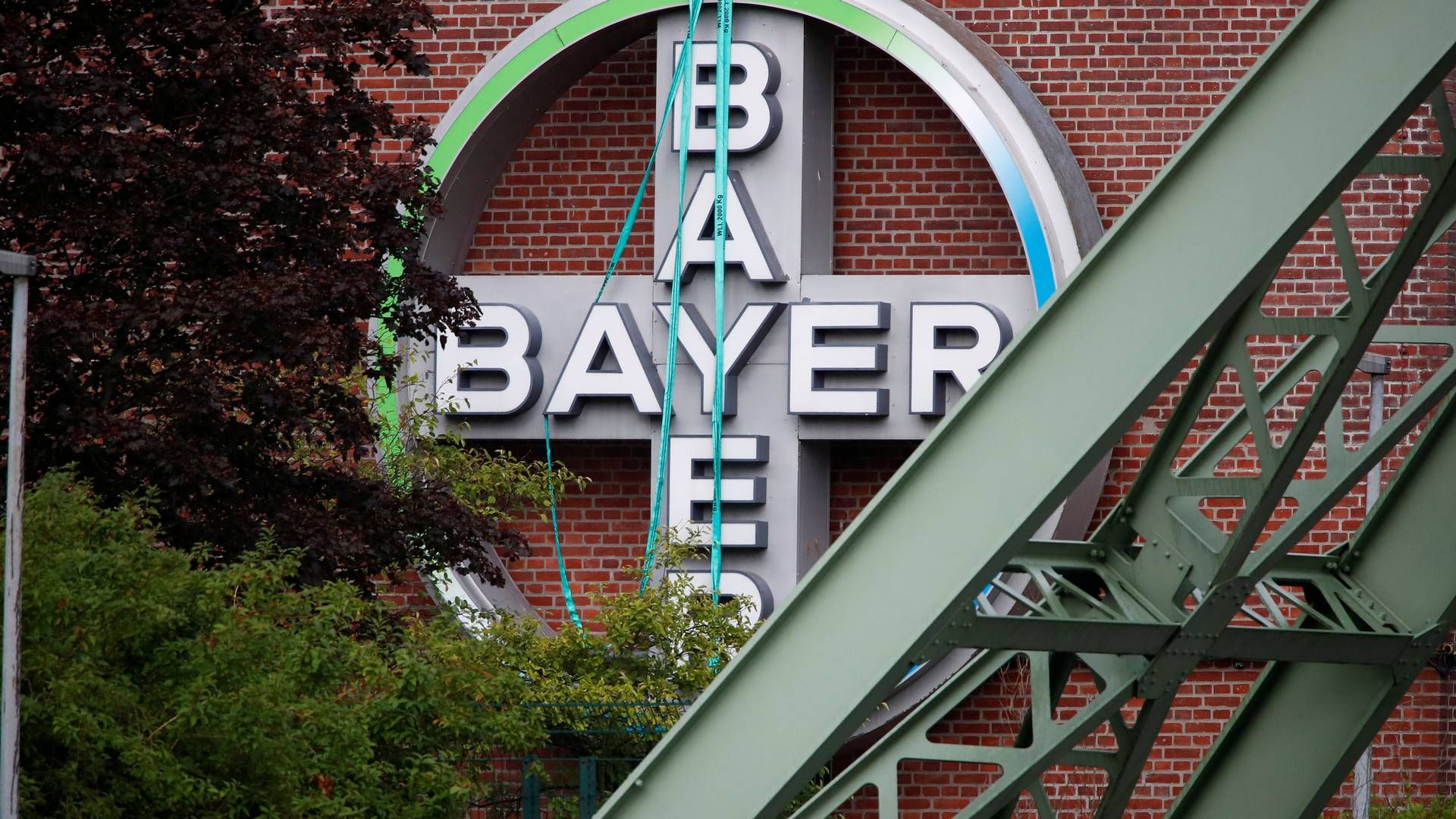 BRUKER MILLIARDER PÅ RETTSSAKER: Ugressmiddel-søksmålene tærer på Bayers kontantstrøm. | Foto: Wolfgang Rattay