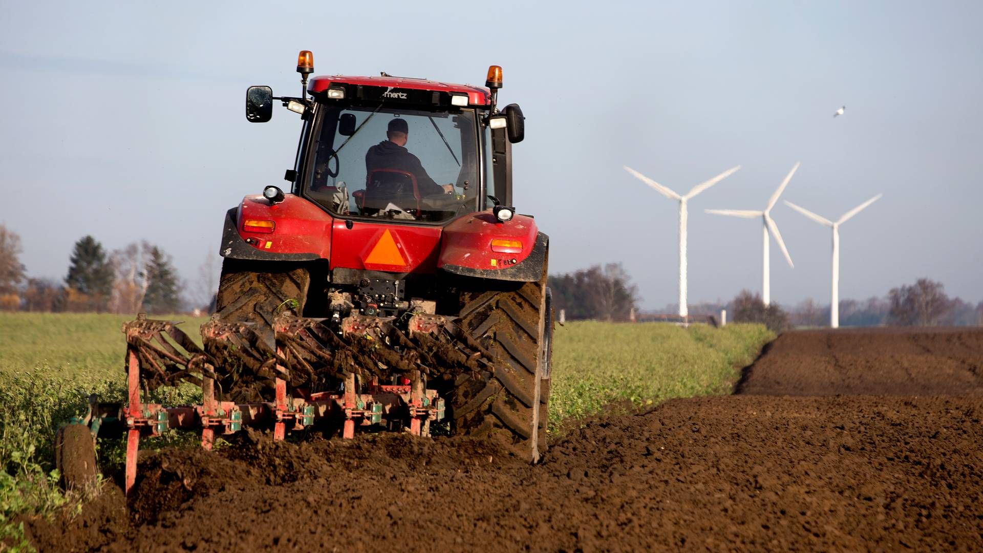 Wekoagro har lensgreve Bendt Tido Hannibal Wedell i ejerkredsen og bestyrelsen. | Foto: Finn Frandsen