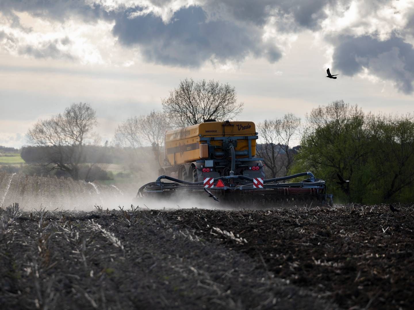 Ifølge Green Fertilizer Denmark kan gødning baseret på grøn ammoniak fjerne udledninger for, hvad der svarer til udledningen fra ca. 250.000 dieselbiler. | Foto: Thomas Borberg