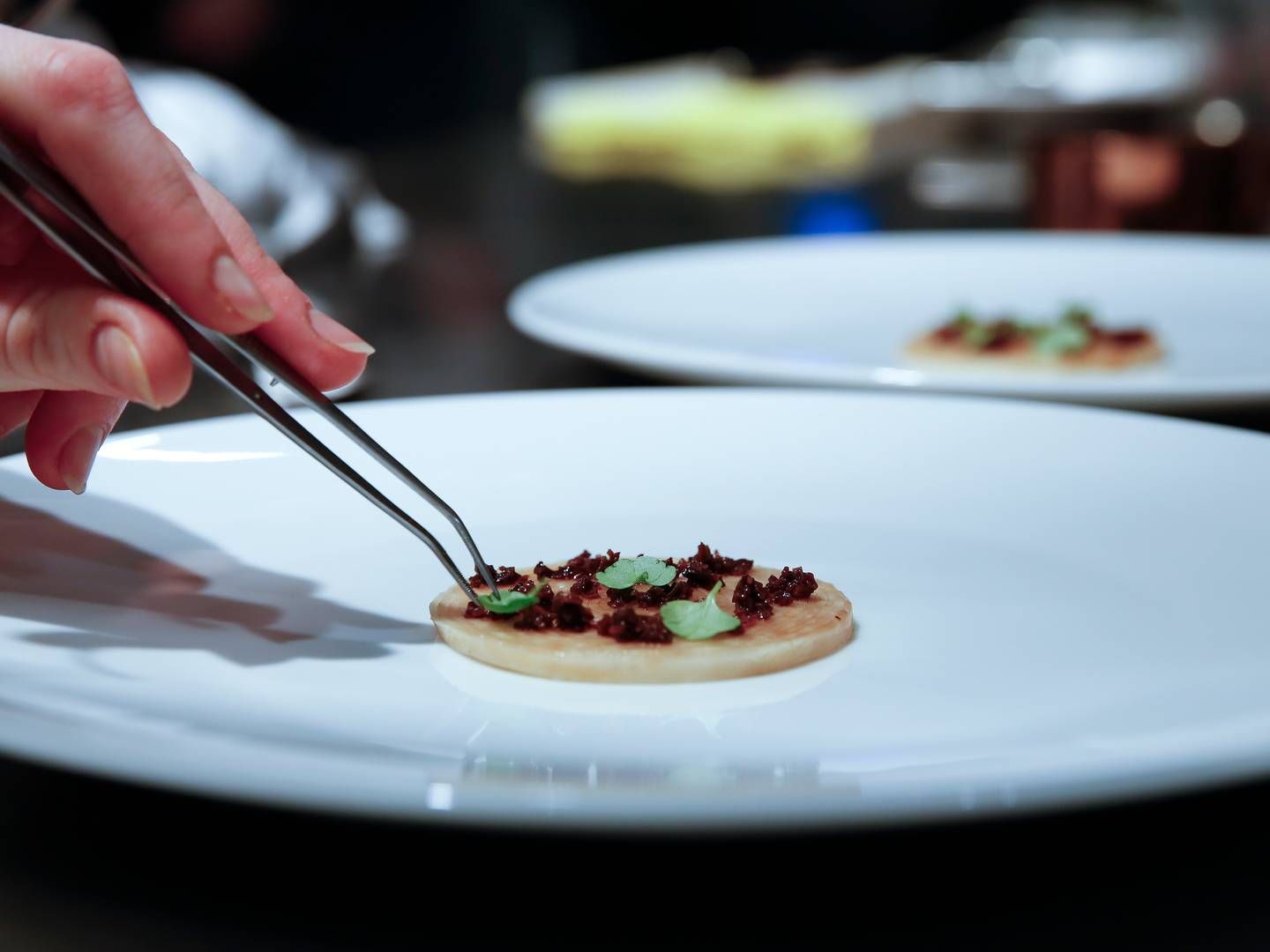 Mandag uddeler Michelinguiden stjerner til restauranter. | Foto: Anders Brohus