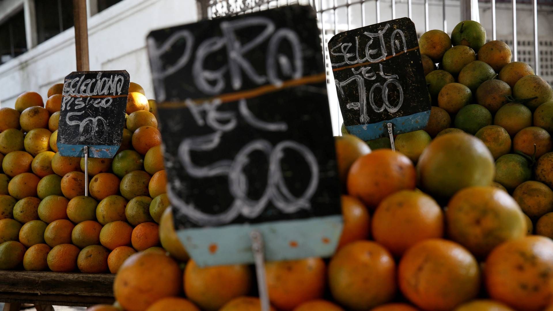 Dårligt vejr og sygdomme har ført til dårligt høstudbytte og deraf stigende priser på appelsinkoncentrat. | Foto: Pilar Olivares/Reuters/Ritzau Scanpix