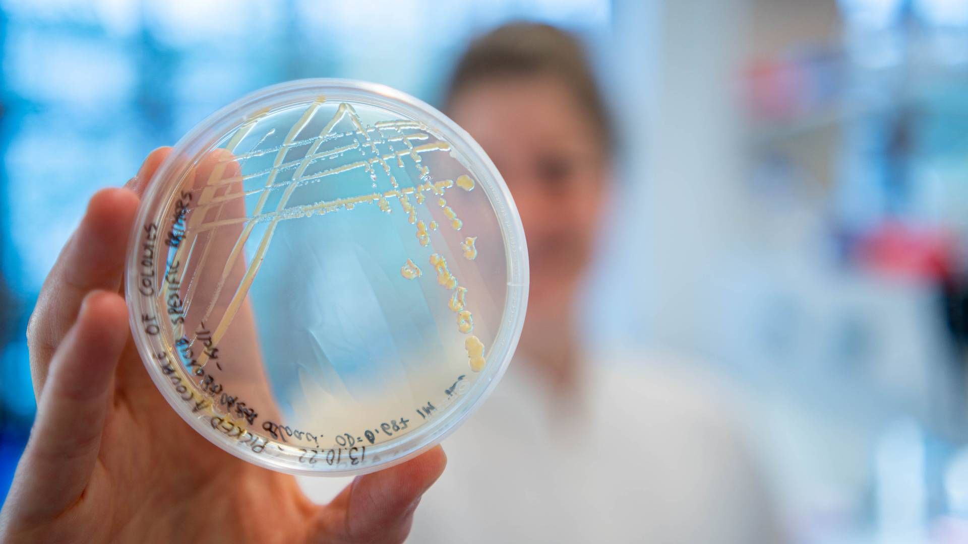 Forskerne ønsker å bruke bakterier til å redusere klimagassutlipp fra landbruket. | Foto: NMBU