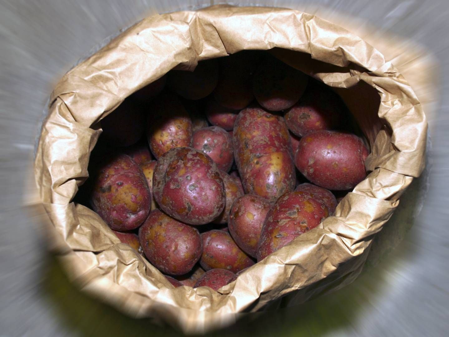 Fra 1. september innføres prosenttoll på importerte poteter. | Foto: NTB