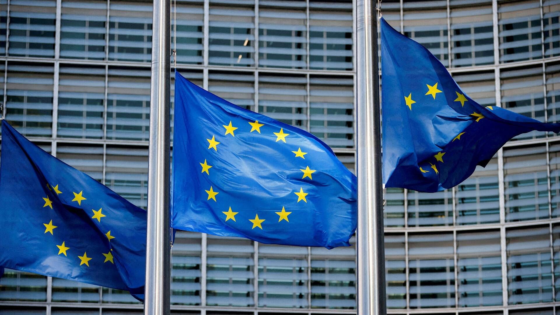 EU-Kommissionen har fredag officielt kategoriseret Temu som en "meget stor online platform", der dermed skal leve op til en række strammere regler. | Foto: Johanna Geron/Reuters/Ritzau Scanpix