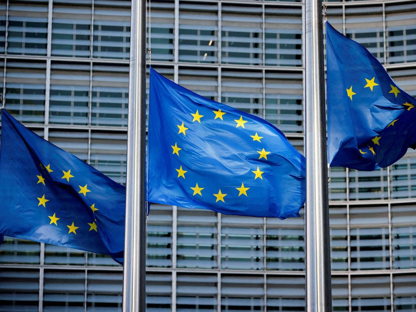 EU-Kommissionen har fredag officielt kategoriseret Temu som en "meget stor online platform", der dermed skal leve op til en række strammere regler. | Foto: Johanna Geron/Reuters/Ritzau Scanpix