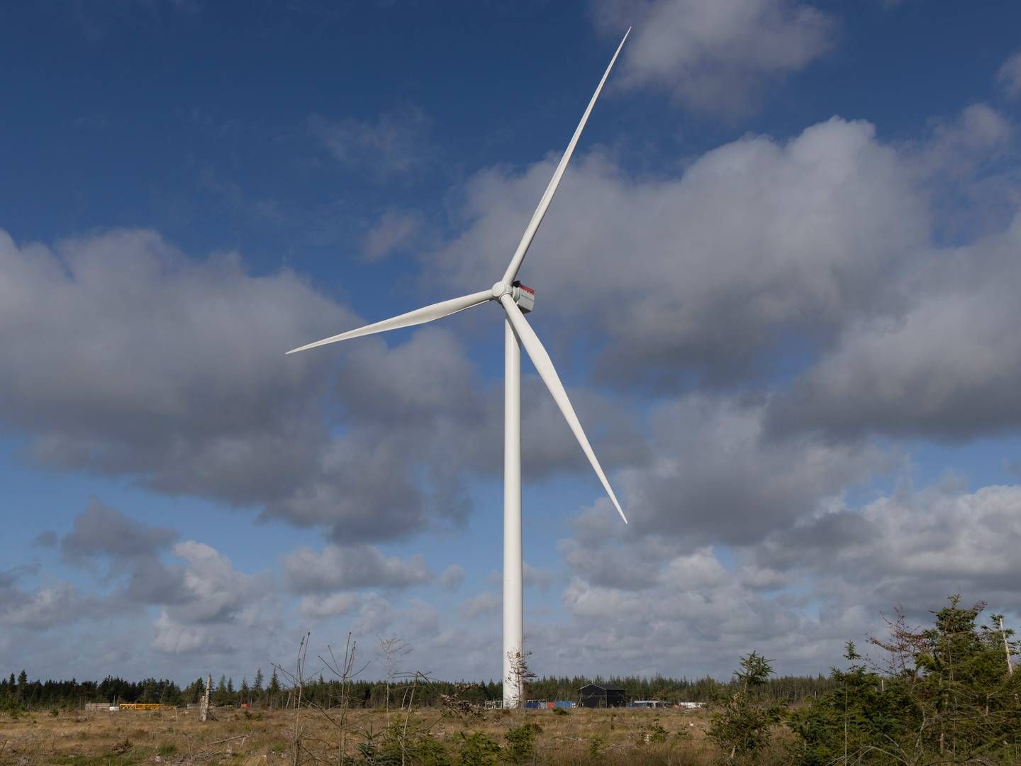 Det er ikke kun de store vindmøller, der kan give klimabesparelser. Digitale værktøjer kan også hjælpe til med den grønne omstilling. Arkivfoto. | Foto: Siemens Gamesa