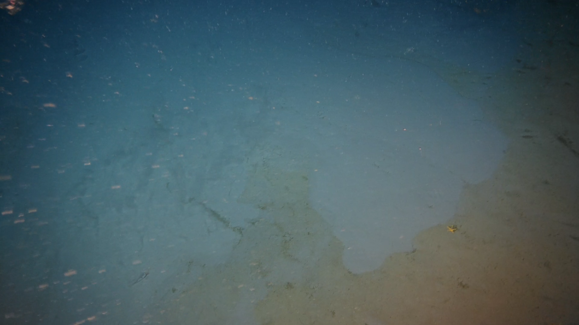 ROV-bilde som viser ferskt mudder (lys gråtone) som nylig har rent utover eldre havbunn (mørkere gyllen gråtone). | Foto: Sokkeldirektoratet