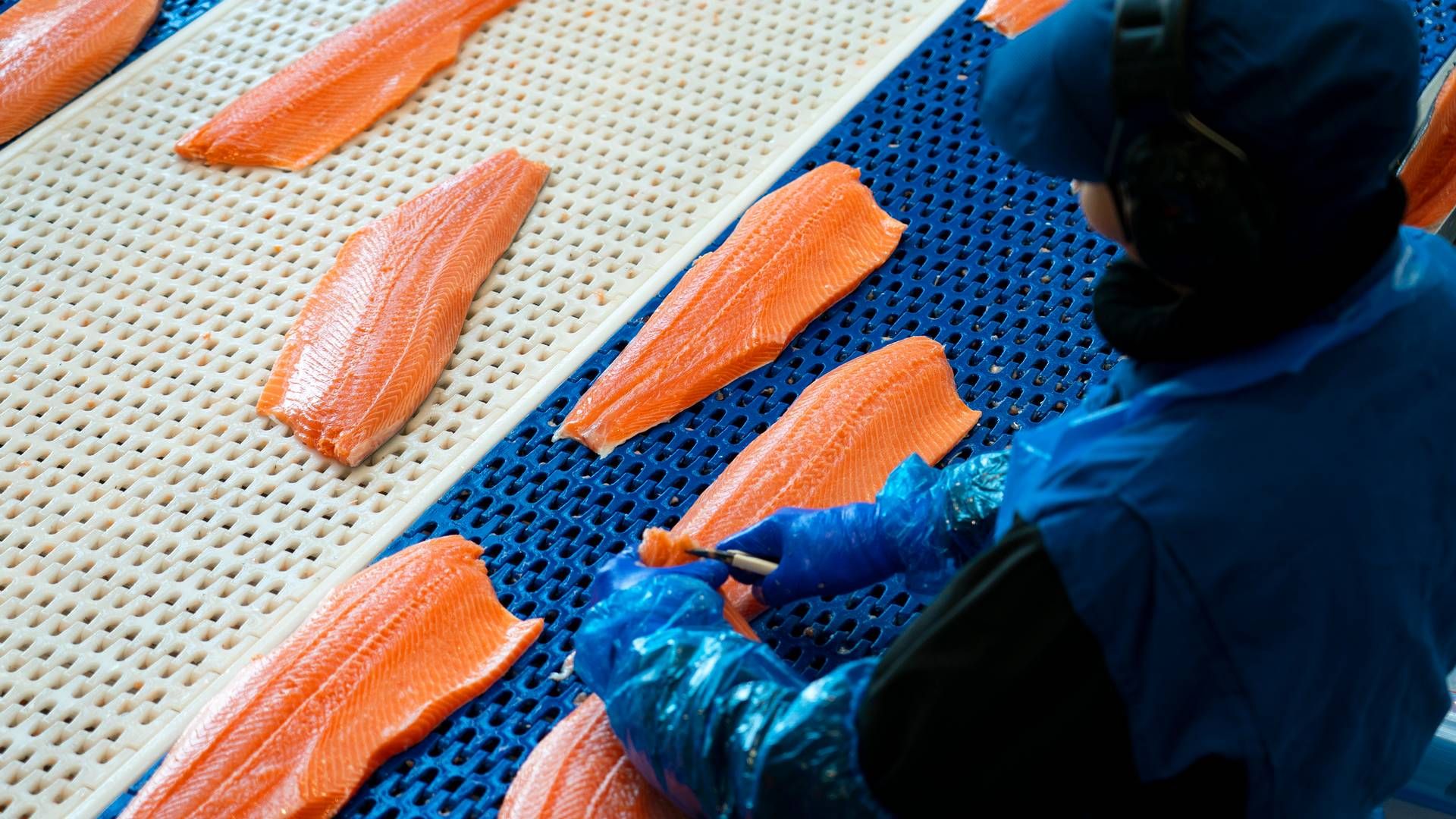 Salmon Brands, som står bak Salma-merkevaren, var en av de største kundene til Bolaks Sjø i første halvdel av 2023. | Foto: Gorm Kallestad/NTB