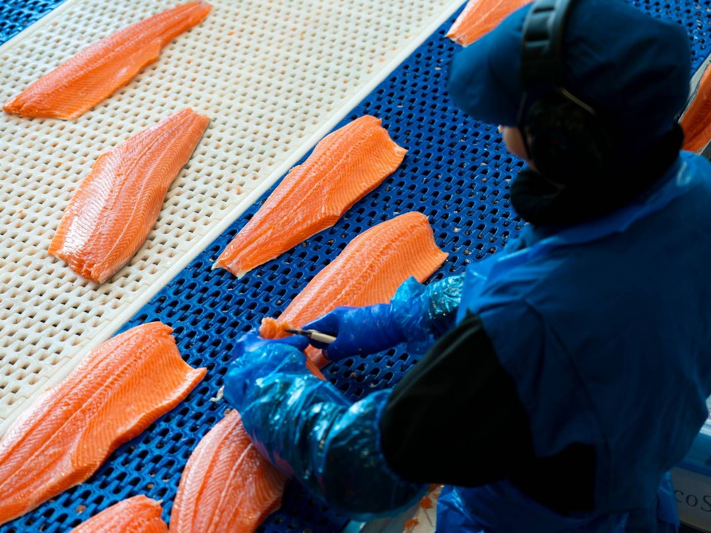 Salmon Brands, som står bak Salma-merkevaren, var en av de største kundene til Bolaks Sjø i første halvdel av 2023. | Foto: Gorm Kallestad/NTB