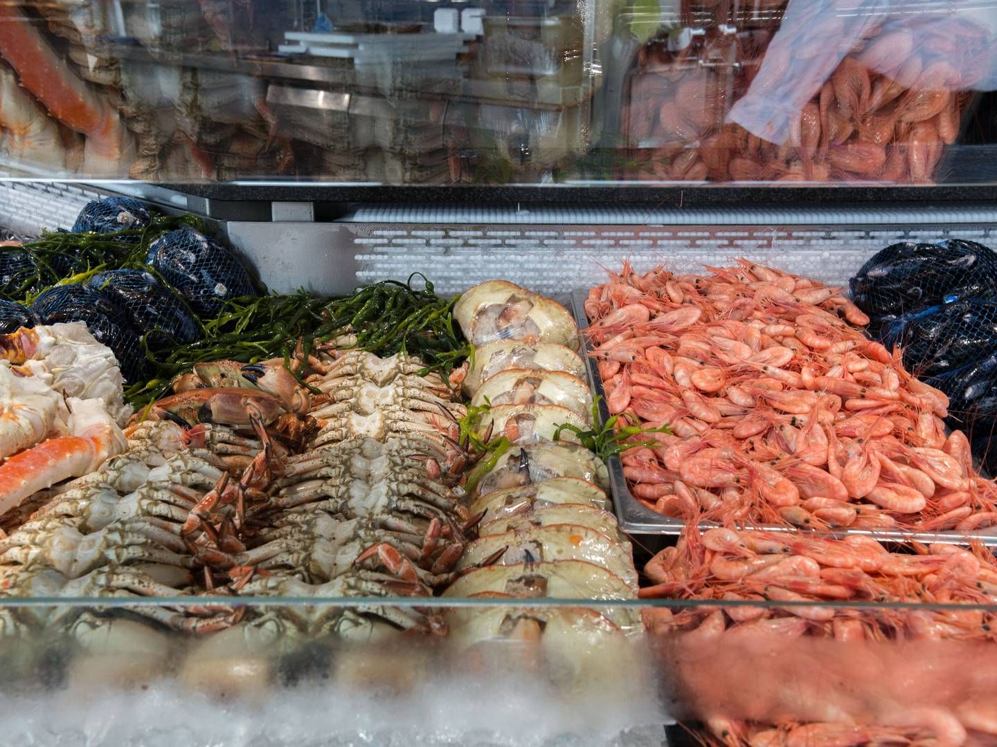– Selv om det er krevende økonomiske tider for mange forbrukere, er norsk sjømat fortsatt en svært ettertraktet matvare, sier Christian Chramer, i Norges sjømatråd. | Foto: Mariam Butt/NTB