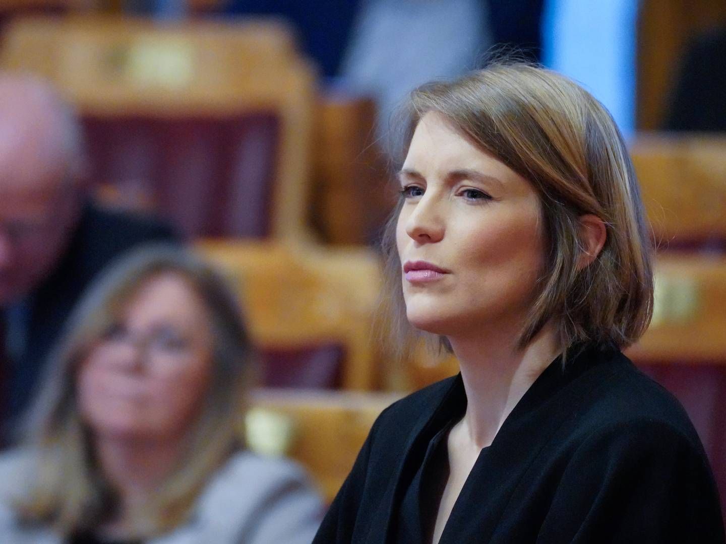 SMUTTHULL: Kari Elisabeth Kaski mener for mange slipper unna skatt. Hun ber regjeringen tette skattehull. | Foto: Ole Berg-Rusten / NTB