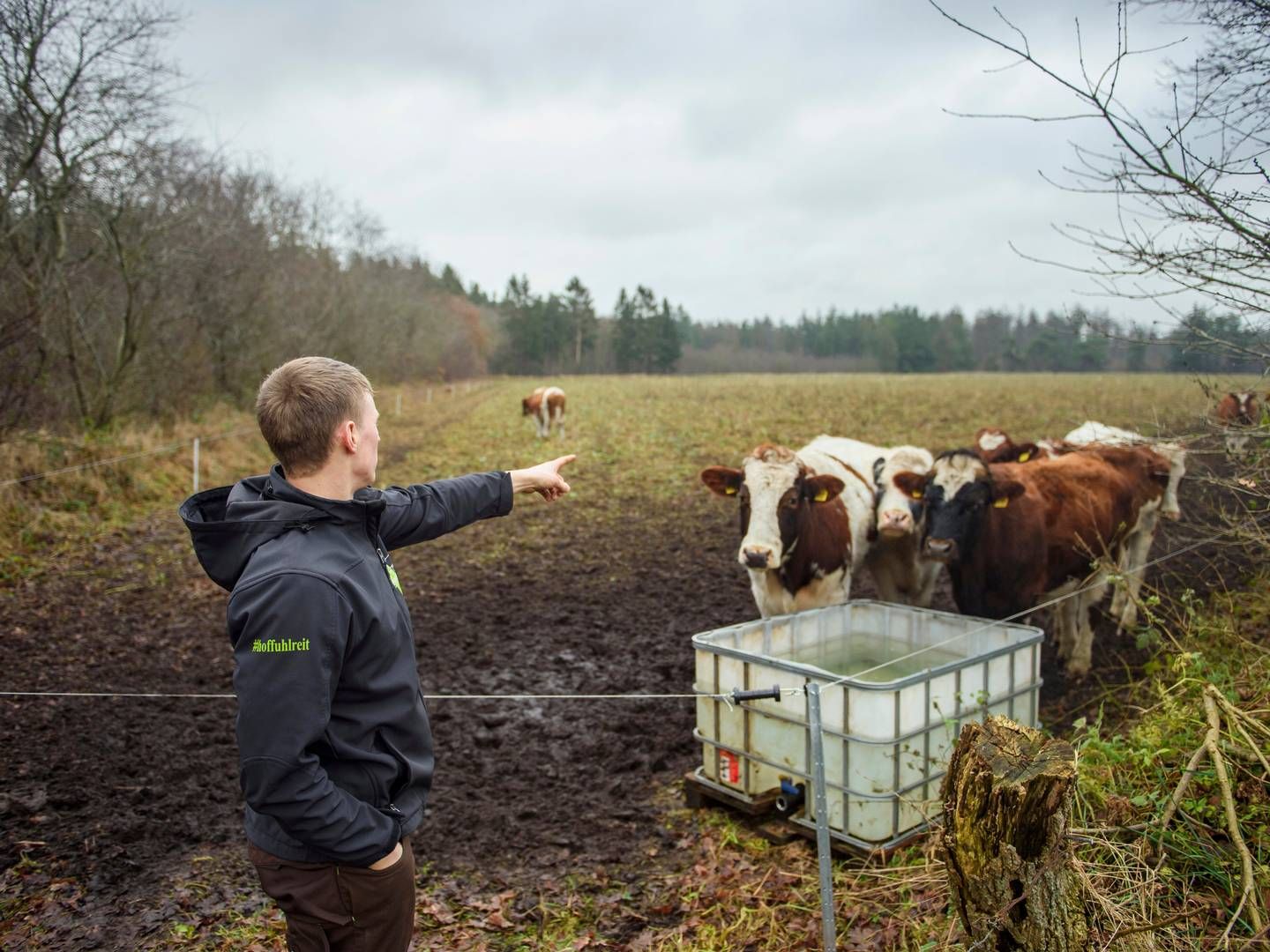 Regenerativt landbrug handler bl.a. om "minimal" jordbearbejdning, men er knap så dogmatisk som økologien. | Foto: Gregor Fischer/AP/Ritzau Scanpix