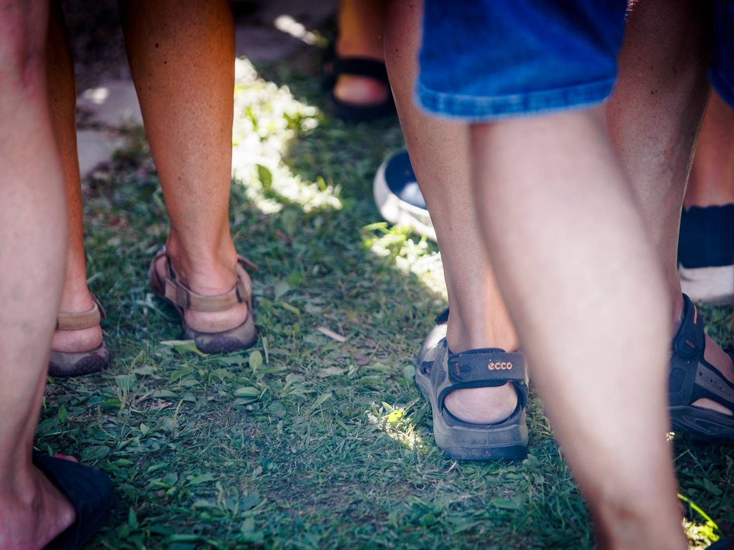 Ecco-sandalerne har taget et skridt tilbage på det danske marked i 2023 efter flere år med fremgang trods kritik af koncernens fortsatte tilstedeværelse i Rusland. | Foto: Per Lange