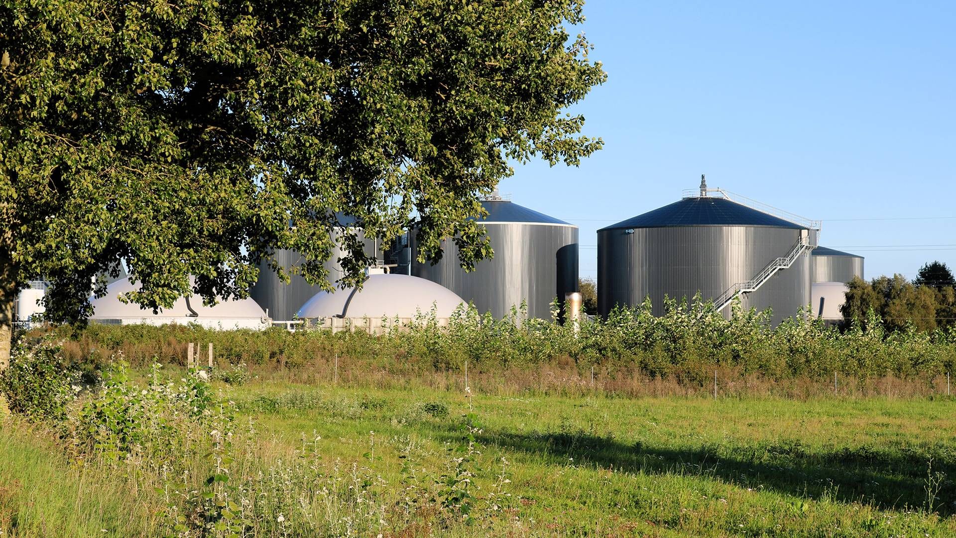 Solrød Biogas modtager en stor del af sine råvarer i form af citrusskaller fra den nærliggende virksomhed CP Kelco.